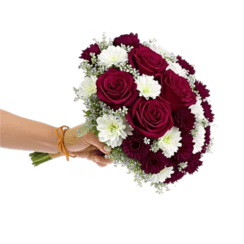 Blushing Rose Symphony