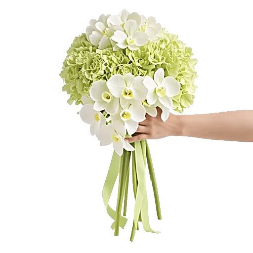 Minimalist White Orchids