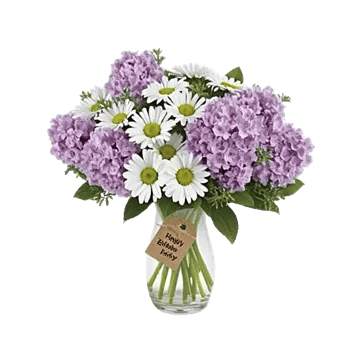 Lavender Bloom Grace