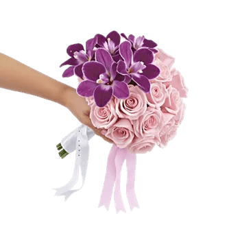 Orchid Bloom Cascade