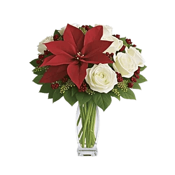 Crimson Rose Elegance