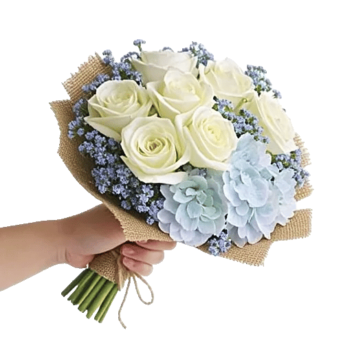 Serene Petal Harmony