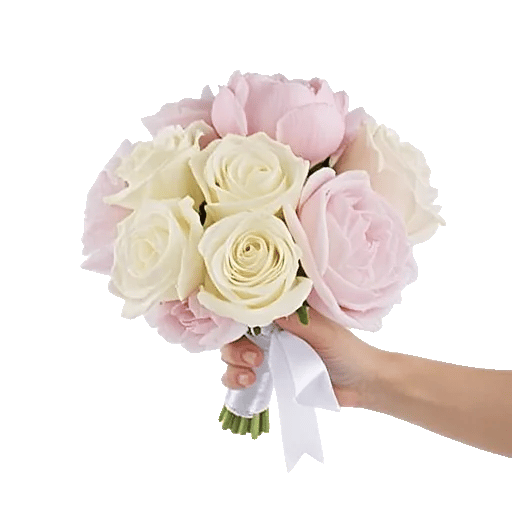 Ivory Blossom Radiance