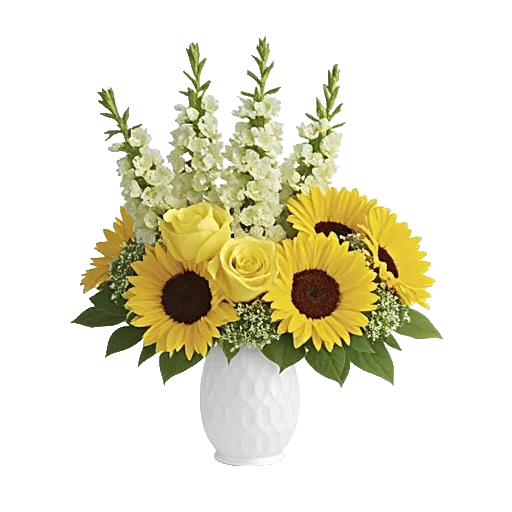 Blossom Harmony Display