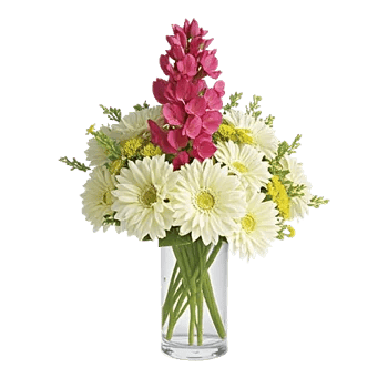 Petal Radiance Bliss