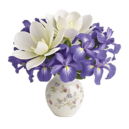 Ivory Blossom Radiance