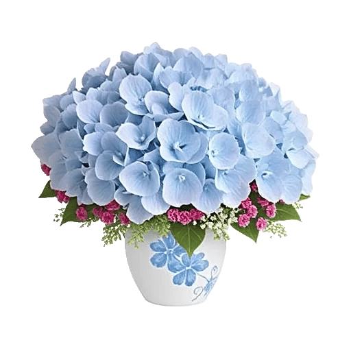 Serene Petal Harmony