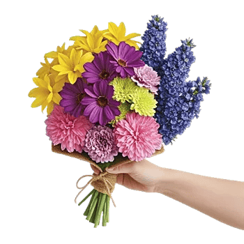 Blossom Harmony Display