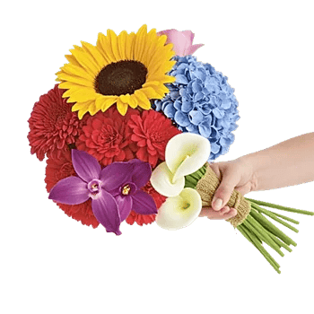 Radiant Bloom Cascade