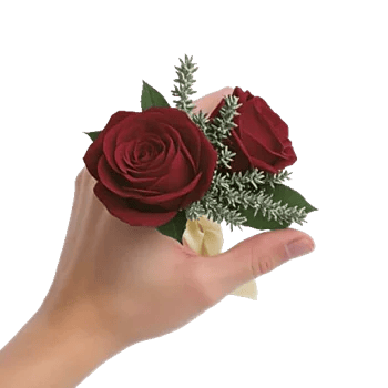 Crimson Rose Elegance