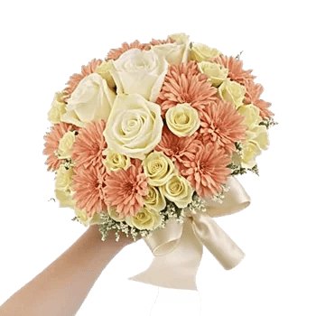 Blushing Rose Symphony