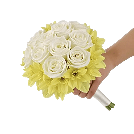 Blushing Rose Symphony