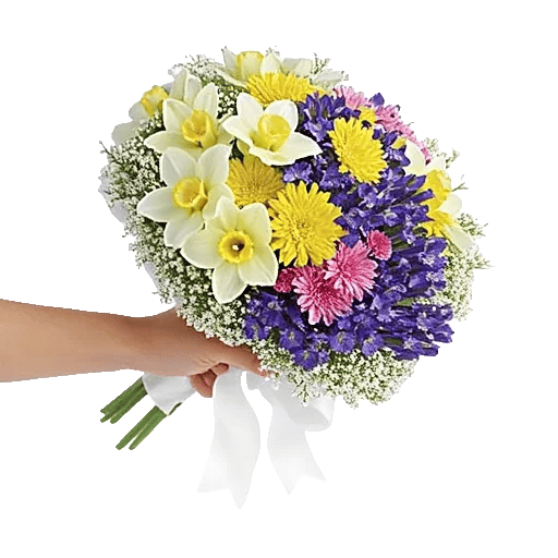 Blossom Harmony Display