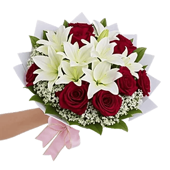 Crimson Rose Elegance
