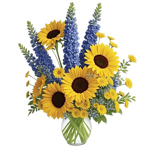 Bright Cheerful Sunflowers