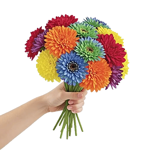 Petal Harmony Bliss