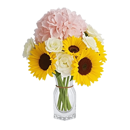 Radiant Bloom Cascade