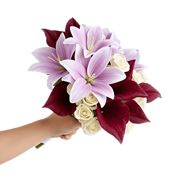 Elegant Calla Lilies