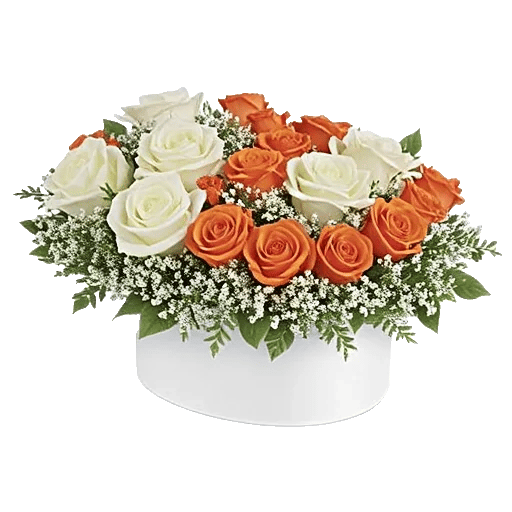 Ivory Blossom Radiance