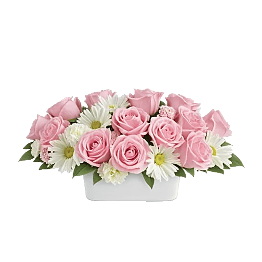 Delicate Petal Cascade