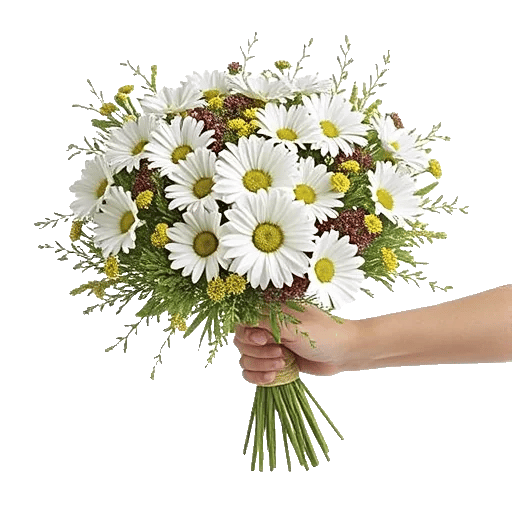 Daisy Meadow Spread
