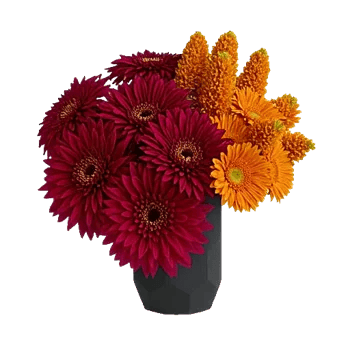 Crimson Blossom Harmony