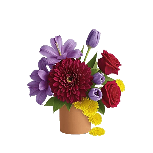 Crimson Blossom Harmony
