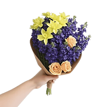 Blossom Harmony Display