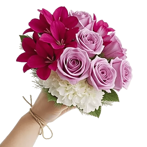 Pastel Pink Roses