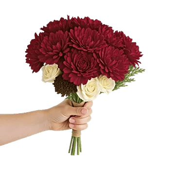 Crimson Rose Elegance