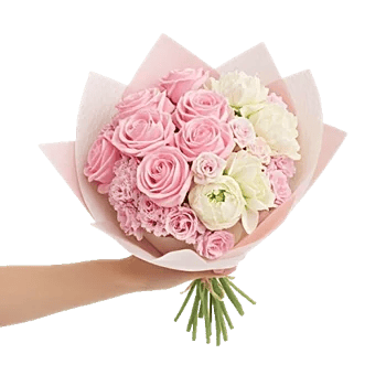 Pastel Pink Roses