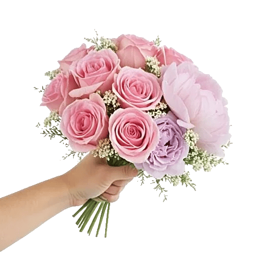 Pastel Pink Roses