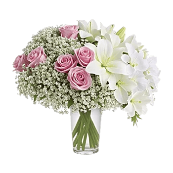 Orchid Bloom Cascade