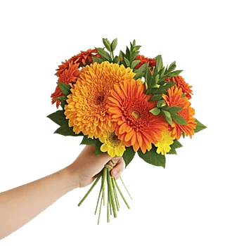 Petal Radiance Bliss