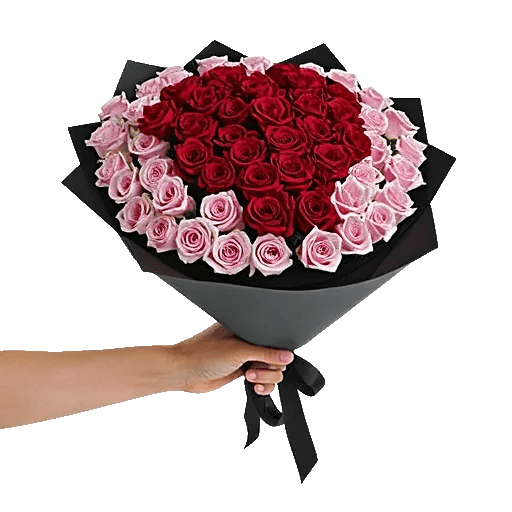 Crimson Rose Elegance