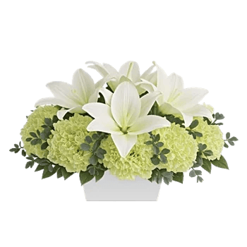 Graceful Lily Display