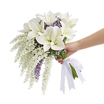 Delicate Petal Cascade