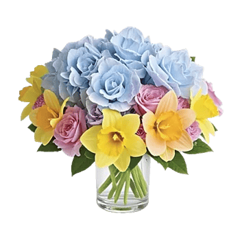 Azure Sky Blooms