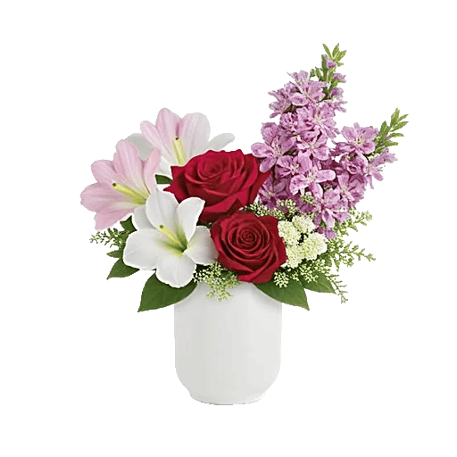 Pink Pastel Roses
