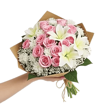 Blushing Rose Symphony