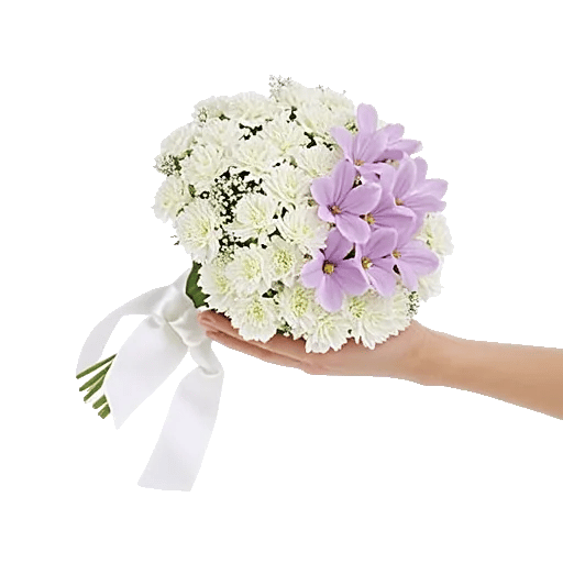 Delicate Petal Cascade