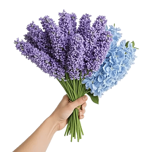 Serenity Blossom Grace