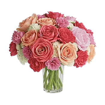 Petal Radiance Bliss