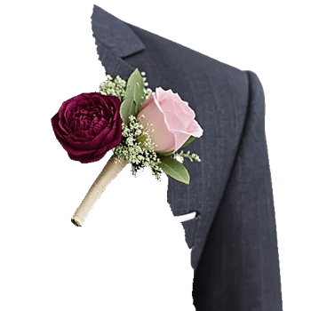 Plum Blossom Radiance