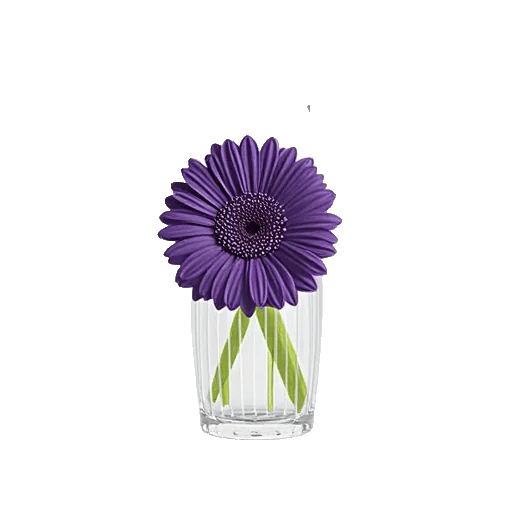 Ivory Blossom Radiance