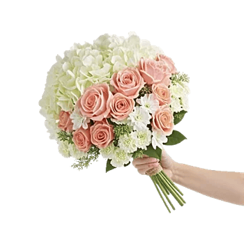 Serene Petal Harmony