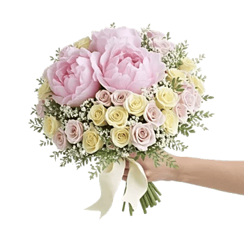 Peony Petal Harmony