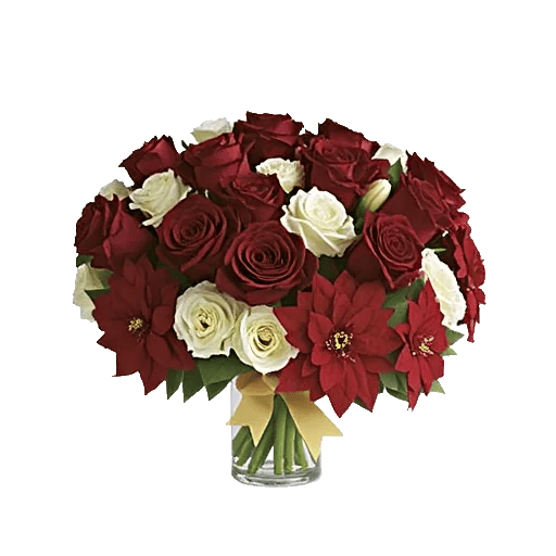 Radiant Rose Symphony