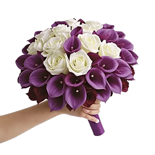 Elegant Calla Lilies