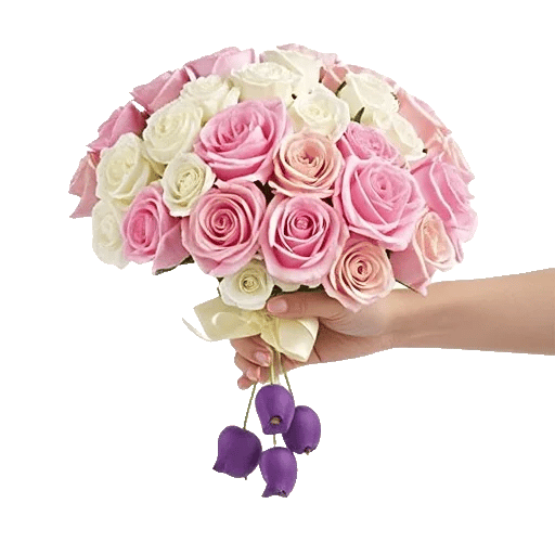 Petal Grace Harmony